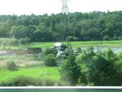 Ромул Рем фотография #38 (источник - https://vk.com/id4353335)