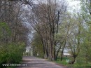 Альонка Іванюк фотография #37 (источник - https://vk.com/id66031893)