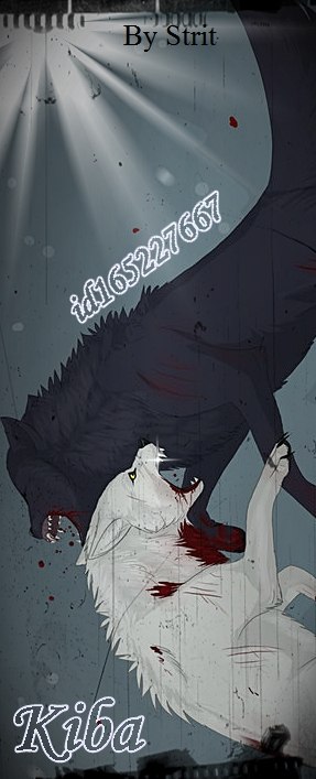 Kiba Wolf фотография #1