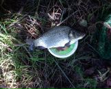 Фотография Федуловой Ксенички