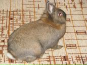 Юлія Поправка фотография #17 (источник - https://vk.com/id159270144)