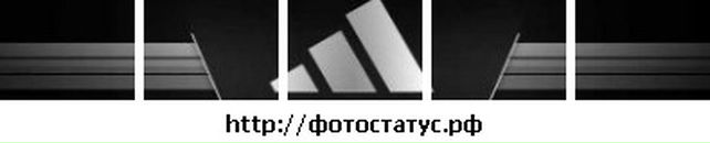 Вова Кокіш фотография #17 (источник - https://vk.com/id78175730)