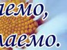 Діма Іванов фотография #42 (источник - https://vk.com/id126577249)