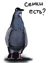 Дмитрій Коташ фотография #2 (источник - https://vk.com/id161939655)