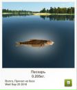 Віталій Пастрама фотография #47 (источник - https://vk.com/id34071171)