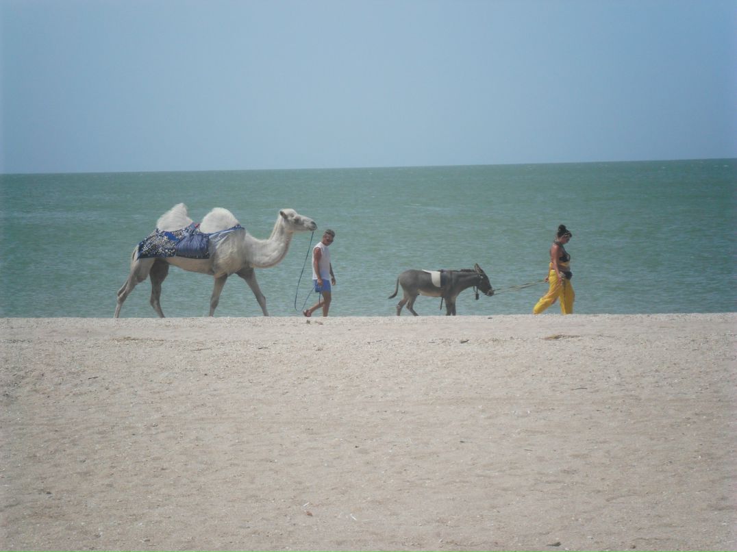 Иван Иванов фотография #43