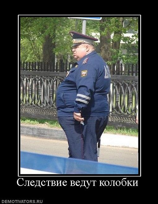 Дмитрий Васильев фотография #48