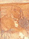 Дмитро Яхімович фотография #23 (источник - https://vk.com/id69184735)