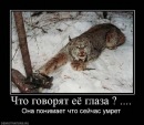 Вітя Салюк фотография #21 (источник - https://vk.com/id97726415)