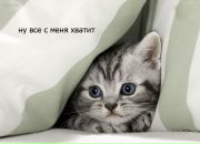 Фотография Яковлевой Даши