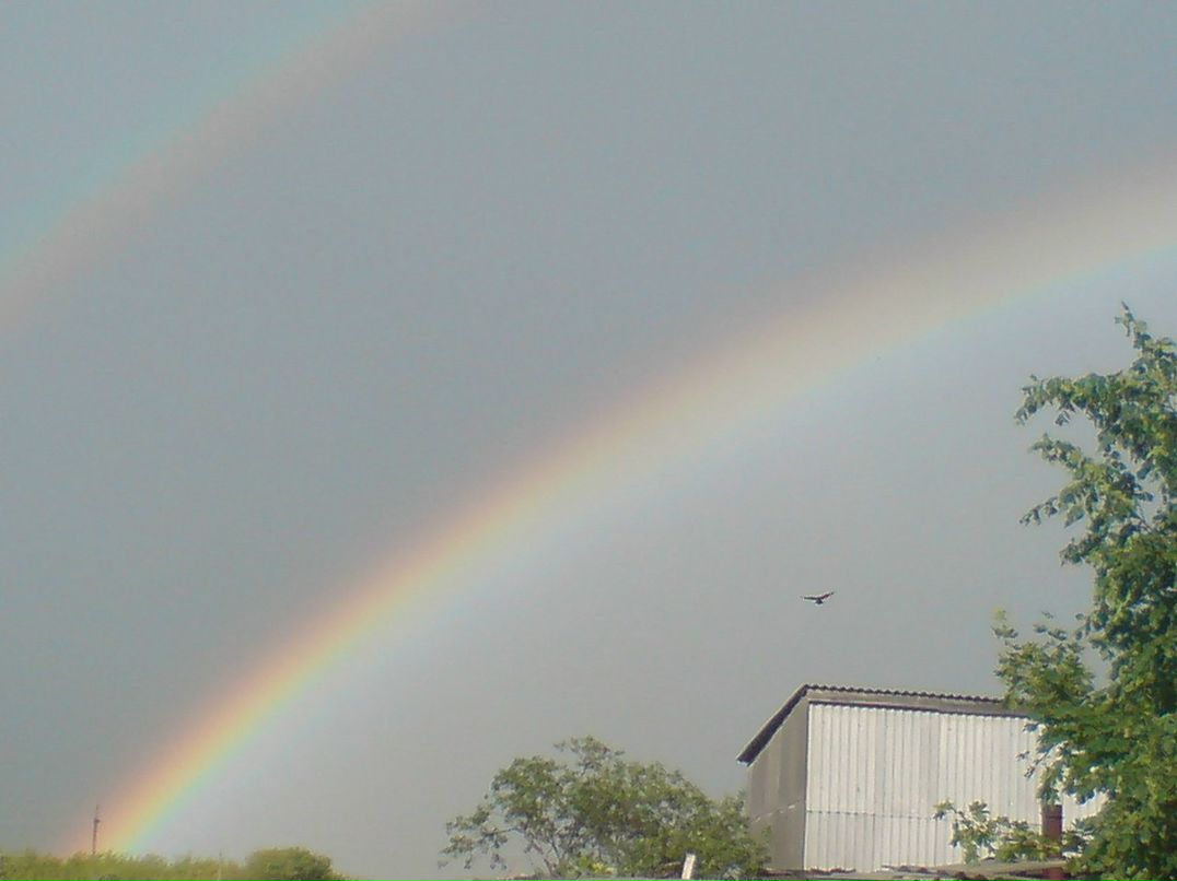 Денис Николаев фотография #3