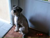 Фотография Васильевой Любови