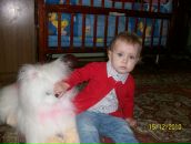 Кіцюня Мяв фотография #17 (источник - https://vk.com/id117920482)