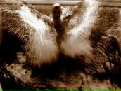 Фотография Рыбаловского Станислава