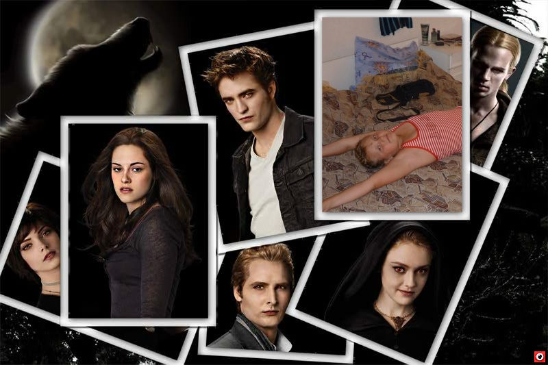 Дарья Кищенко фотография #6