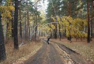 Фотография Idrissova Asel