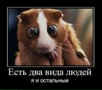 Фотография Бояршина Сергея