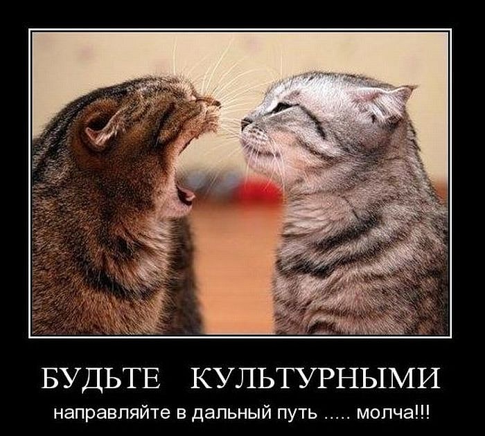 Anton Spb фотография #30