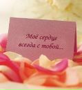 Ликуся ______________ фотография #1