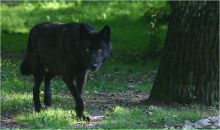 Фотография Оппенгеймер Евгений