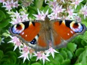 Фотография Филатовой Катюшки