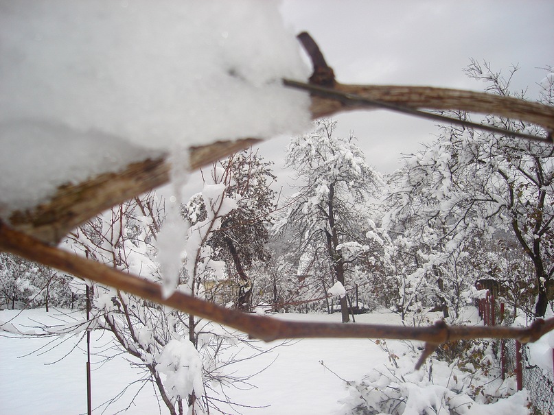 Era New фотография #41