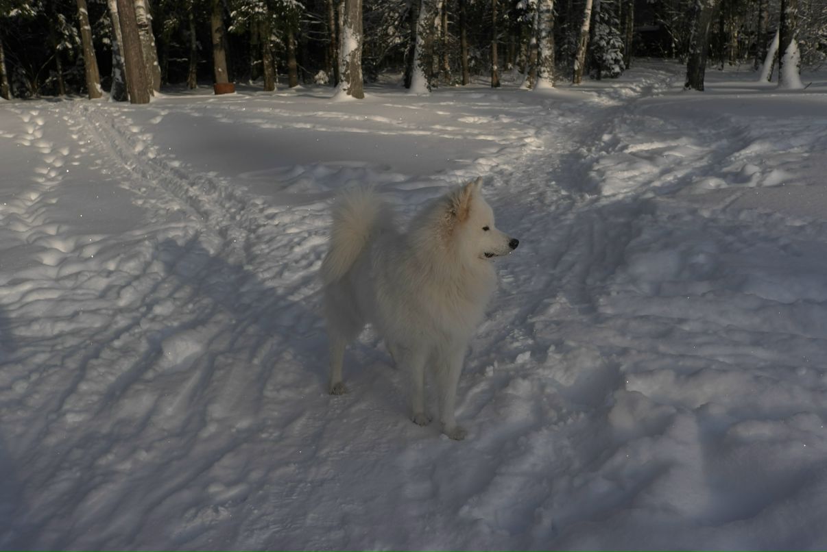 Александра Федосеева фотография #9
