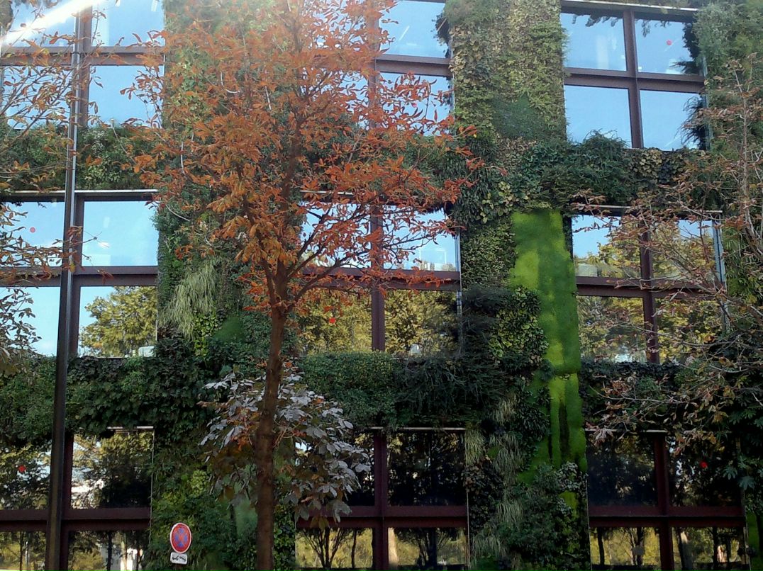 Даниил Шульман фотография #7