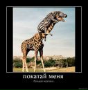 Леонід Плисюк фотография #24 (источник - https://vk.com/id59376401)