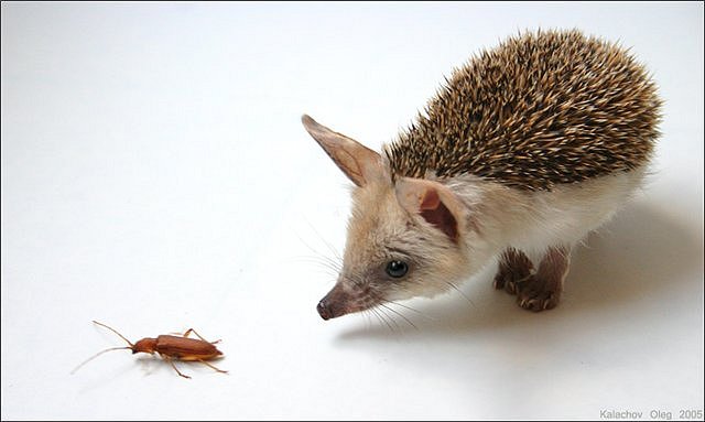 Алексей Арасланов фотография #49