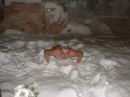Ілля Каланча фотография #11 (источник - https://vk.com/id87320901)