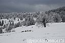 Міша Юріна фотография #39 (источник - https://vk.com/id70576909)