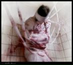 Фотография Тимохиной Аньки