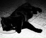 Фотография Lebedewa Elisaweta