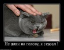 Віталік Герик фотография #28 (источник - https://vk.com/id80953216)