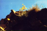 Рунге Кутт фотография #29 (источник - https://vk.com/id202315)