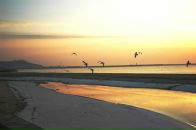 Фотография Янушкевич Оксаны