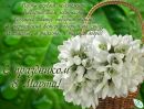 Фотография Евсеевой Анны