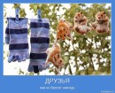 Андрюха Склярук фотография #43 (источник - https://vk.com/id11705905)