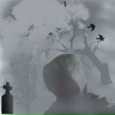 Фотография Кондратьева Алексея