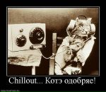 Николай Бердников фотография #23 (источник - https://vk.com/id1941204)