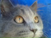 Мальвіна Матвеєва фотография #1