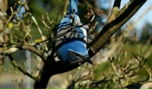 Іван Руднік фотография #20 (источник - https://vk.com/id113826045)