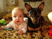 Фотография Бережной Алисы