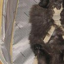 Міша Якимчук фотография #26 (источник - https://vk.com/id155178981)