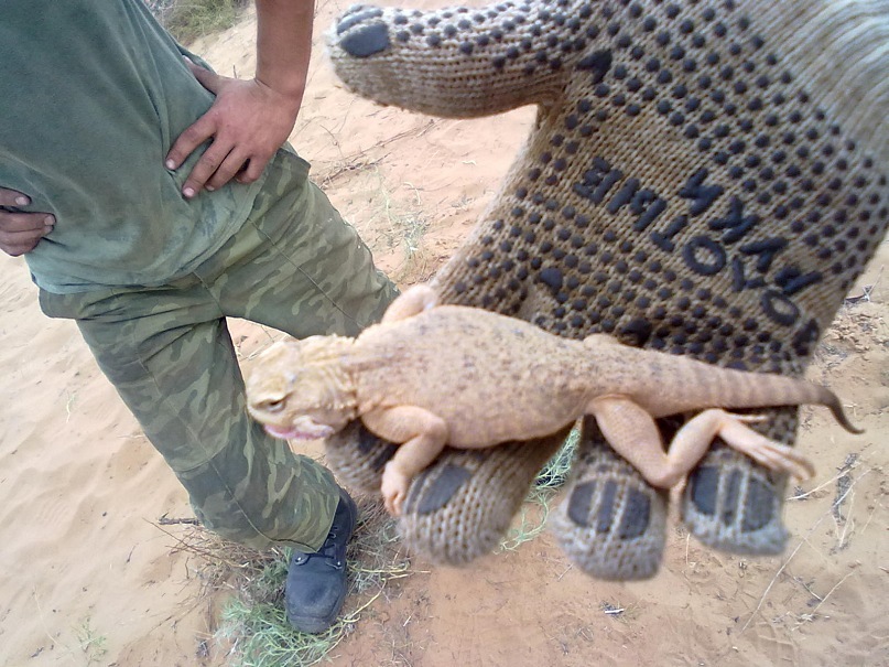 Сергей Бех фотография #41