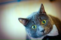 Фотография Корченкова Дарья