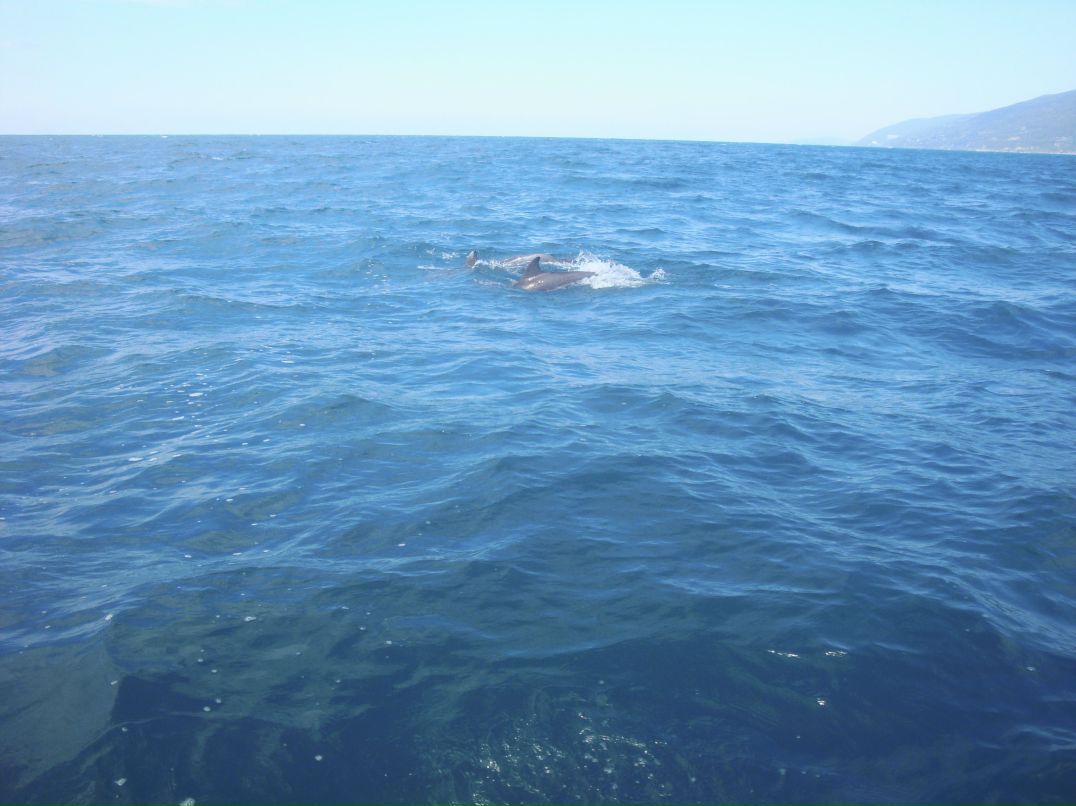 Дмитрий Ушаков фотография #39