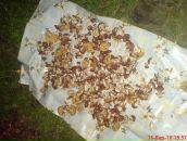 Сергій Матійців фотография #33 (источник - https://vk.com/id95623101)