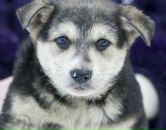 Фотография Щедриной Натальи